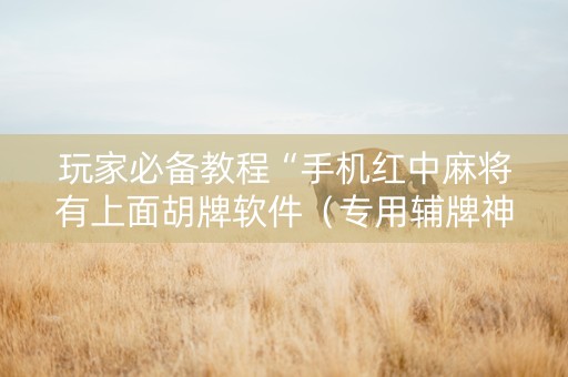 玩家必备教程“手机红中麻将有上面胡牌软件（专用辅牌神器免安装）