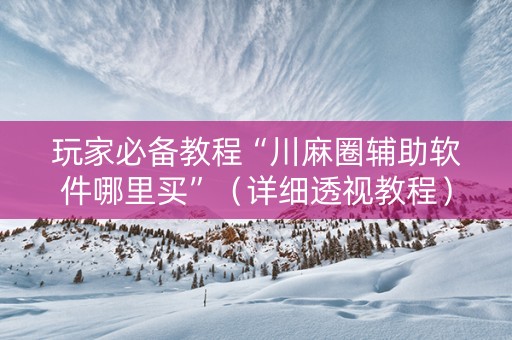 玩家必备教程“川麻圈辅助软件哪里买”（详细透视教程）-哔哩哔哩