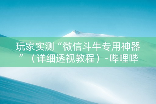 玩家实测“微信斗牛专用神器”（详细透视教程）-哔哩哔哩