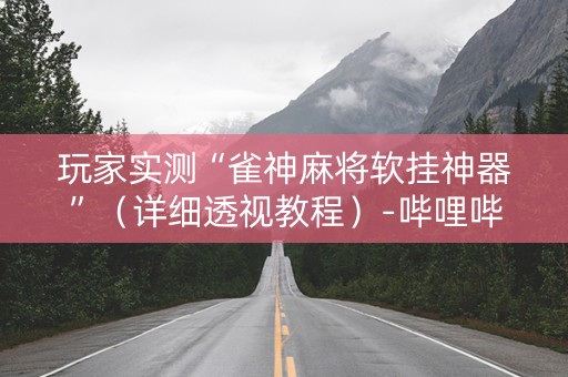 玩家实测“雀神麻将软挂神器”（详细透视教程）-哔哩哔哩