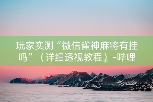 玩家实测“微信雀神麻将有挂吗”（详细透视教程）-哔哩哔哩