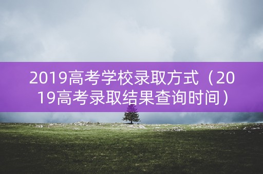 2019高考学校录取方式（2019高考录取结果查询时间）