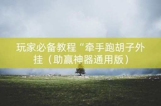 玩家必备教程“牵手跑胡子外挂（助赢神器通用版）