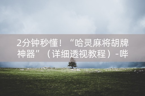 2分钟秒懂！“哈灵麻将胡牌神器”（详细透视教程）-哔哩哔哩