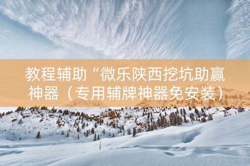 教程辅助“微乐陕西挖坑助赢神器（专用辅牌神器免安装）