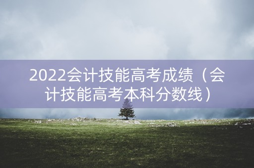 2022会计技能高考成绩（会计技能高考本科分数线）