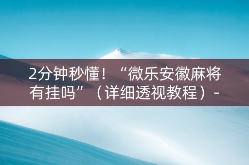 2分钟秒懂！“微乐安徽麻将有挂吗”（详细透视教程）-哔哩哔哩