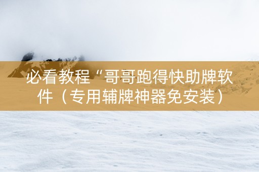 必看教程“哥哥跑得快助牌软件（专用辅牌神器免安装）