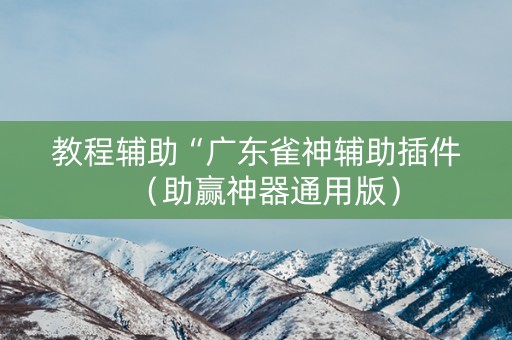 教程辅助“广东雀神辅助插件（助赢神器通用版）