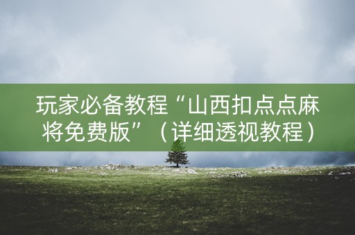 玩家必备教程“山西扣点点麻将免费版”（详细透视教程）-哔哩哔哩