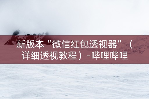 新版本“微信红包透视器”（详细透视教程）-哔哩哔哩