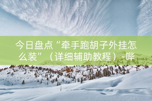 今日盘点“牵手跑胡子外挂怎么装”（详细辅助教程）-哔哩哔哩