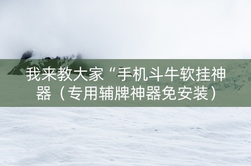 我来教大家“手机斗牛软挂神器（专用辅牌神器免安装）