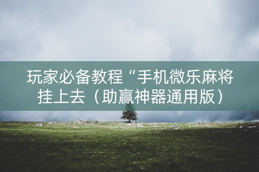 玩家必备教程“手机微乐麻将挂上去（助赢神器通用版）