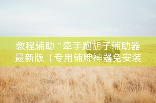 教程辅助“牵手跑胡子辅助器最新版（专用辅牌神器免安装）