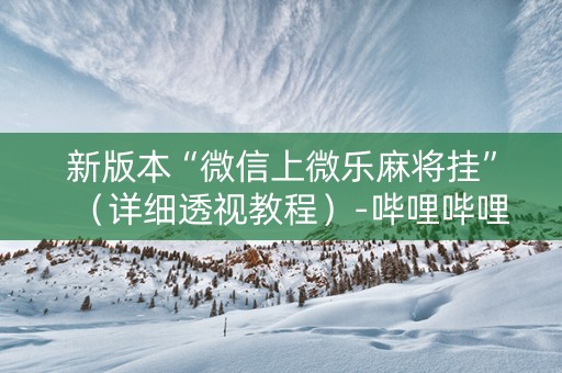 新版本“微信上微乐麻将挂”（详细透视教程）-哔哩哔哩