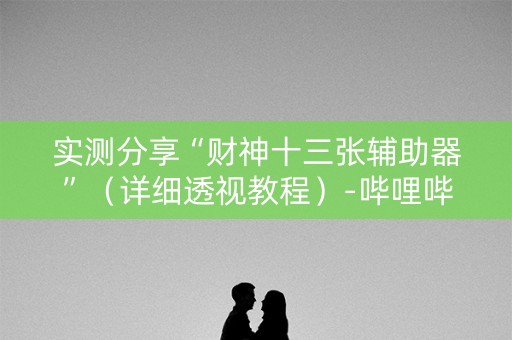 实测分享“财神十三张辅助器”（详细透视教程）-哔哩哔哩