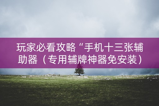 玩家必看攻略“手机十三张辅助器（专用辅牌神器免安装）