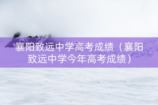 襄阳致远中学高考成绩（襄阳致远中学今年高考成绩）