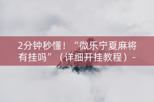 2分钟秒懂！“微乐宁夏麻将有挂吗”（详细开挂教程）-哔哩哔哩