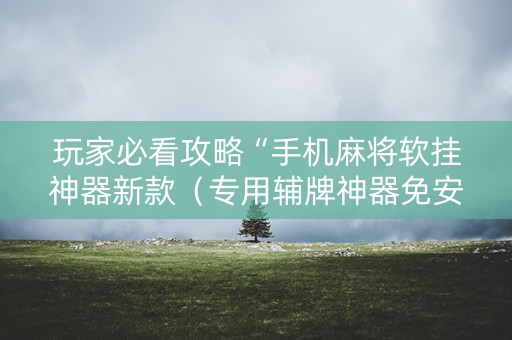 玩家必看攻略“手机麻将软挂神器新款（专用辅牌神器免安装）