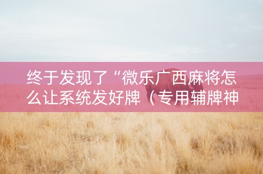 终于发现了“微乐广西麻将怎么让系统发好牌（专用辅牌神器免安装）