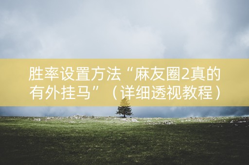 胜率设置方法“麻友圈2真的有外挂马”（详细透视教程）-哔哩哔哩