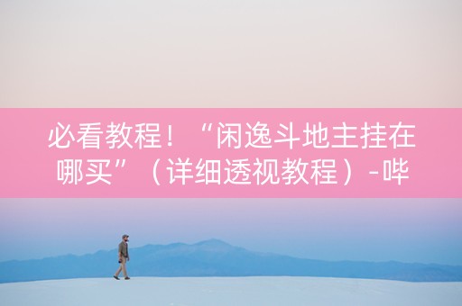 必看教程！“闲逸斗地主挂在哪买”（详细透视教程）-哔哩哔哩