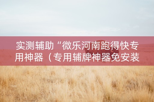 实测辅助“微乐河南跑得快专用神器（专用辅牌神器免安装）