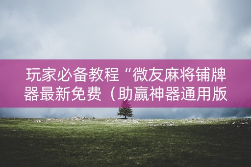 玩家必备教程“微友麻将铺牌器最新免费（助赢神器通用版）