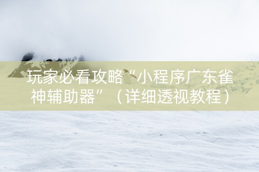 玩家必看攻略“小程序广东雀神辅助器”（详细透视教程）-哔哩哔哩