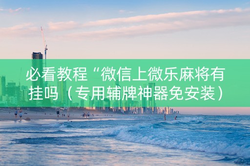 必看教程“微信上微乐麻将有挂吗（专用辅牌神器免安装）