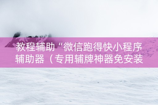 教程辅助“微信跑得快小程序辅助器（专用辅牌神器免安装）