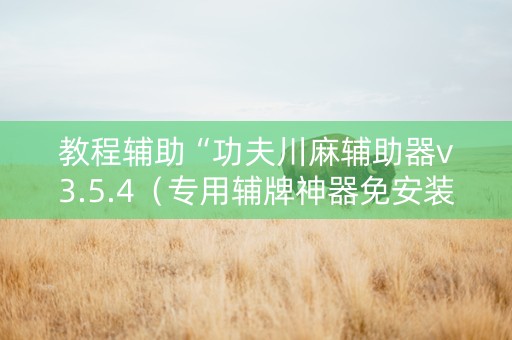 教程辅助“功夫川麻辅助器v3.5.4（专用辅牌神器免安装）
