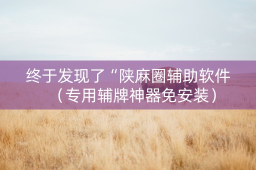 终于发现了“陕麻圈辅助软件（专用辅牌神器免安装）