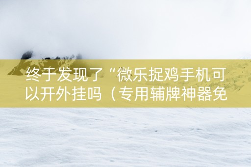 终于发现了“微乐捉鸡手机可以开外挂吗（专用辅牌神器免安装）