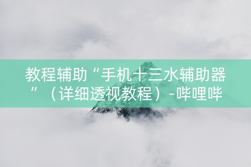 教程辅助“手机十三水辅助器”（详细透视教程）-哔哩哔哩