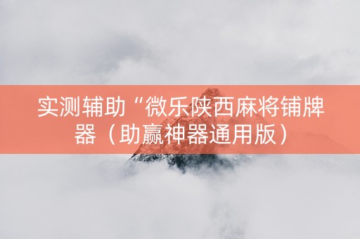 实测辅助“微乐陕西麻将铺牌器（助赢神器通用版）