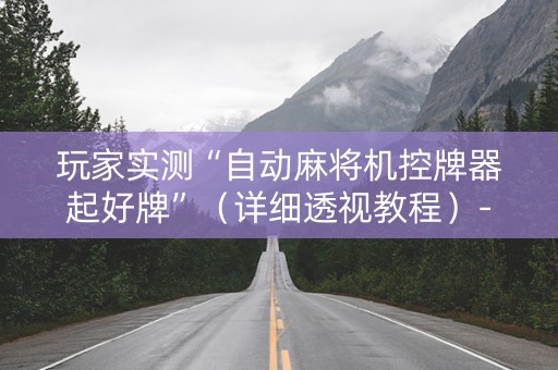 玩家实测“自动麻将机控牌器起好牌”（详细透视教程）-哔哩哔哩