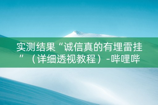 实测结果“诚信真的有埋雷挂”（详细透视教程）-哔哩哔哩