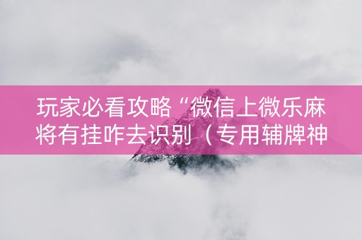 玩家必看攻略“微信上微乐麻将有挂咋去识别（专用辅牌神器免安装）