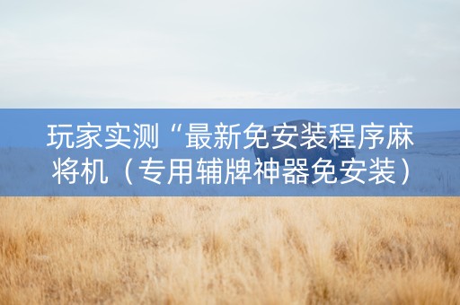 玩家实测“最新免安装程序麻将机（专用辅牌神器免安装）