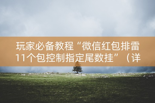 玩家必备教程“微信红包排雷11个包控制指定尾数挂”（详细透视教程）-哔哩哔哩