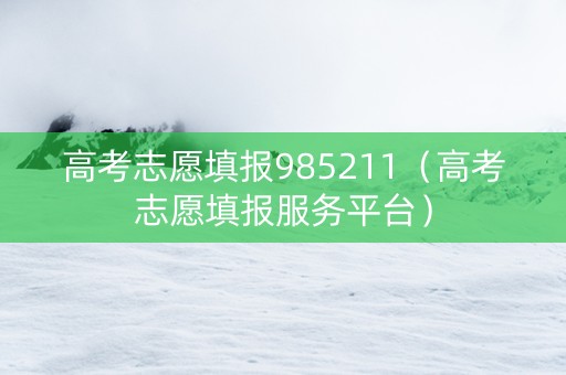 高考志愿填报985211（高考志愿填报服务平台）