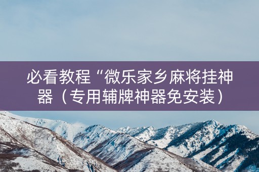 必看教程“微乐家乡麻将挂神器（专用辅牌神器免安装）