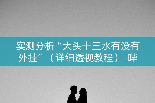 实测分析“大头十三水有没有外挂”（详细透视教程）-哔哩哔哩