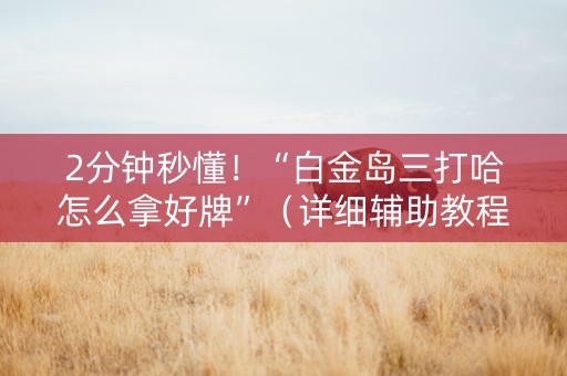 2分钟秒懂！“白金岛三打哈怎么拿好牌”（详细辅助教程）-哔哩哔哩