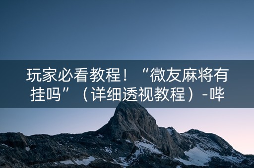 玩家必看教程！“微友麻将有挂吗”（详细透视教程）-哔哩哔哩