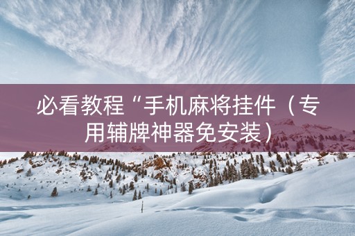 必看教程“手机麻将挂件（专用辅牌神器免安装）