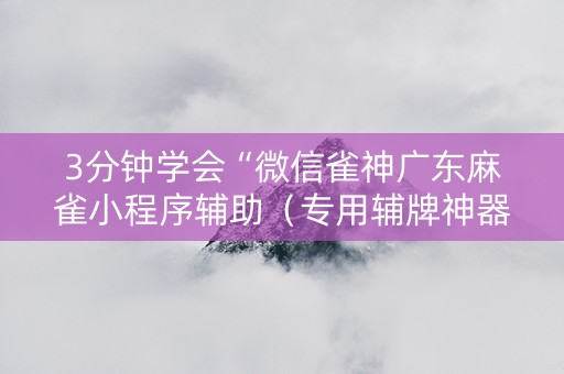 3分钟学会“微信雀神广东麻雀小程序辅助（专用辅牌神器免安装）